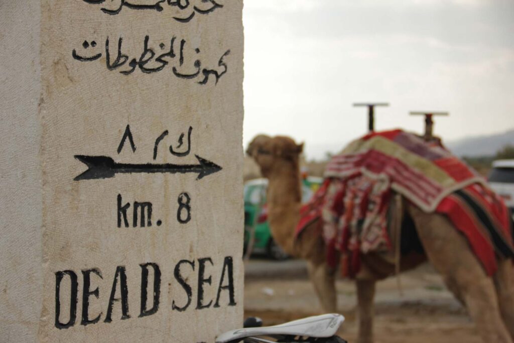 Dead-Sea-and-Camel