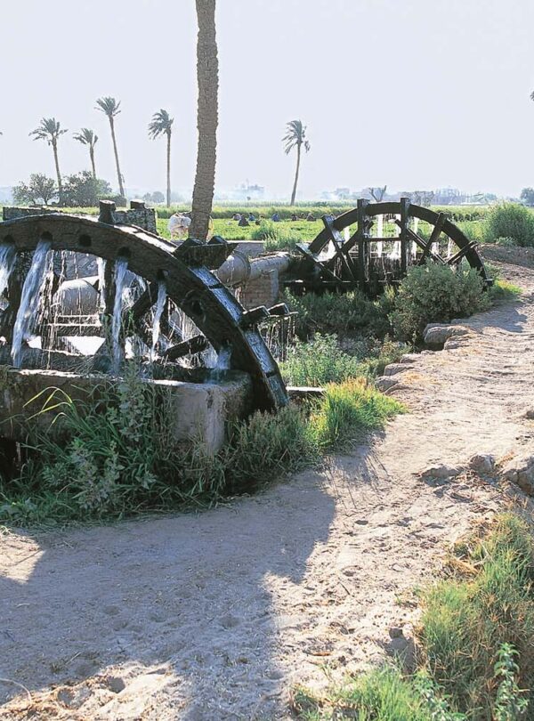Glimpse of Egypt Eight Days Tour