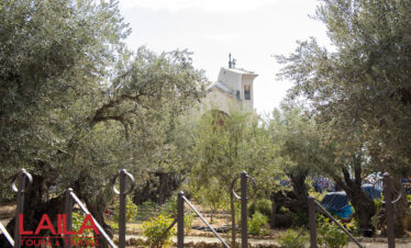 Old and New Jerusalem Day Tour